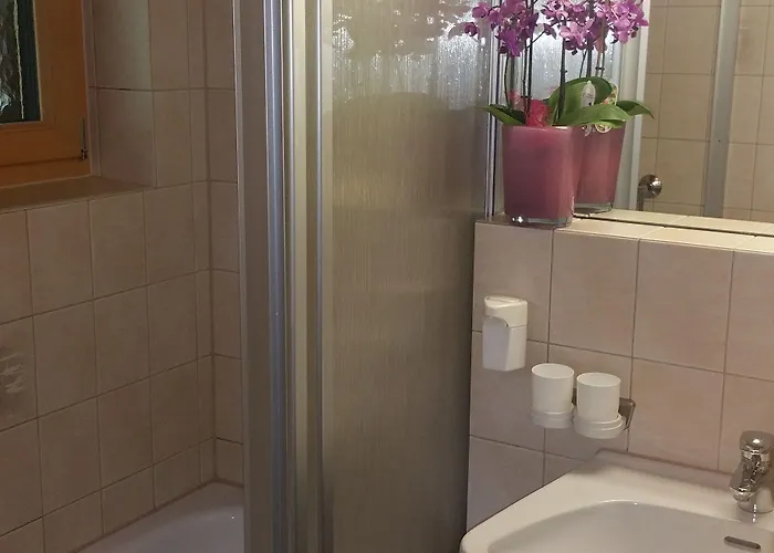 Bed & Breakfast Bergkristall Tux